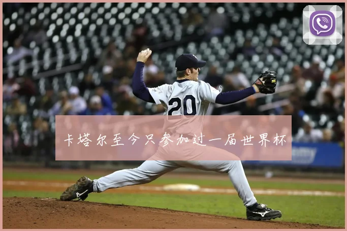 卡塔尔至今只参加过一届世界杯