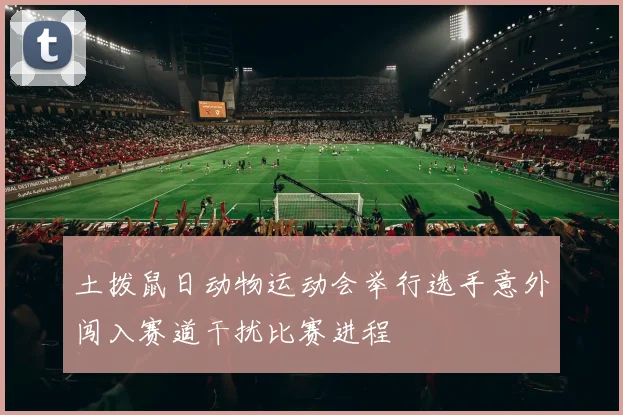 土拨鼠日动物运动会举行选手意外闯入赛道干扰比赛进程