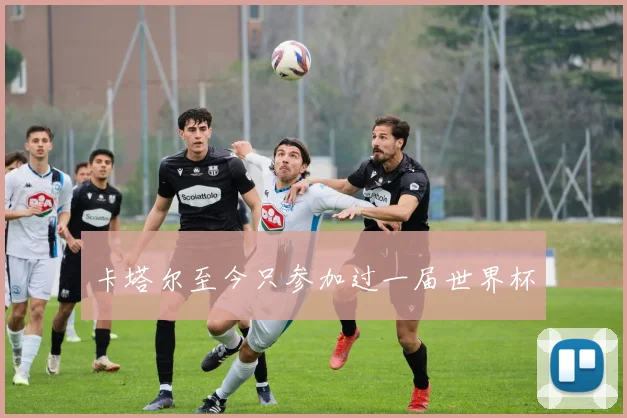 卡塔尔至今只参加过一届世界杯