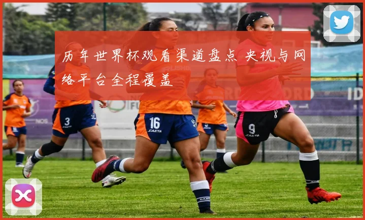 历年世界杯观看渠道盘点 央视与网络平台全程覆盖