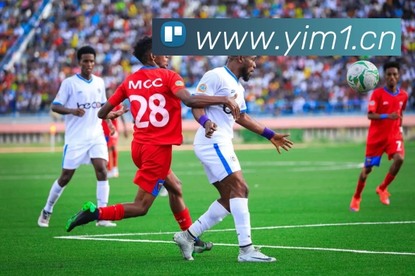 压球首页品牌故事